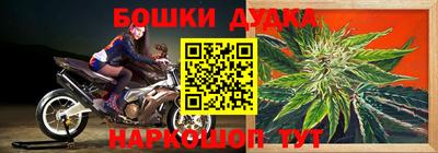 спайс Обь