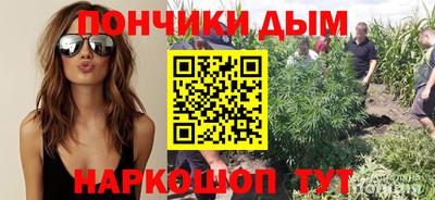 спайс Обь