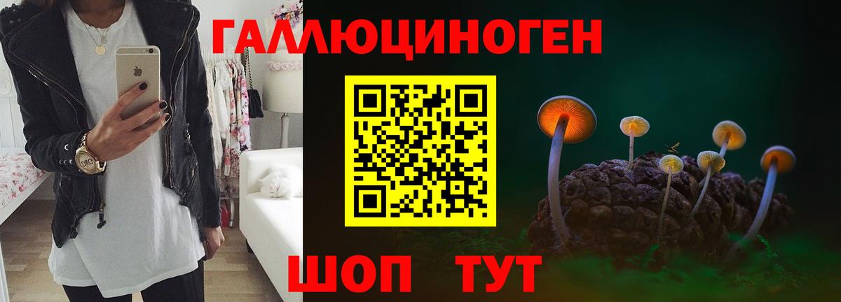 Галлюциногенные грибы мухоморы Тавда
