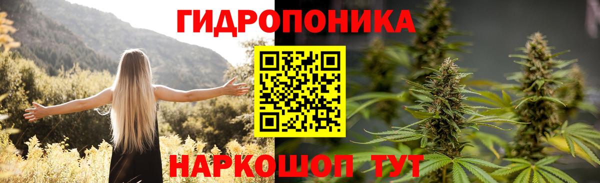 Бошки Шишки ГИДРОПОН Тавда